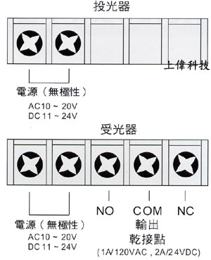 照片-4