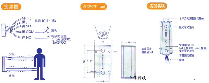 照片-1