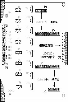 照片-1