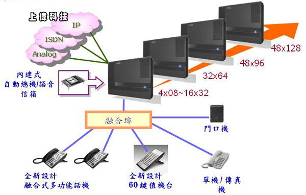 照片-2