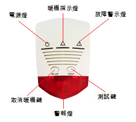 照片-2