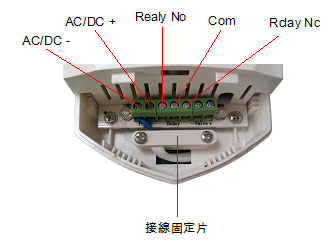 照片-1